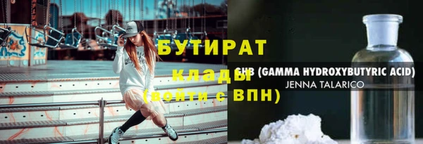 гидра Богородск