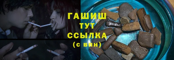 гидра Богородск