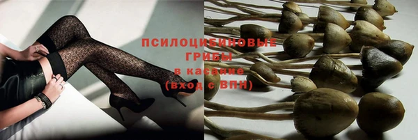трава Богородицк