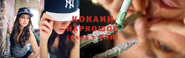 гидра Богородск