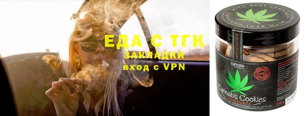 гидра Богородск