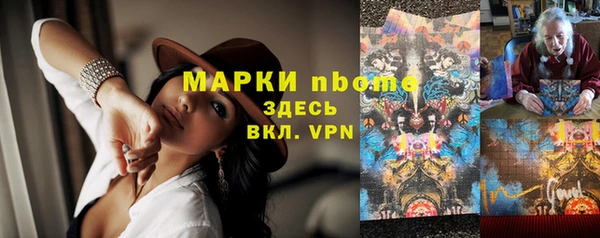 ПСИЛОЦИБИНОВЫЕ ГРИБЫ Белокуриха