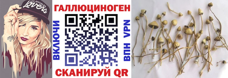 Галлюциногенные грибы мицелий  как найти закладки  Верхний Уфалей 