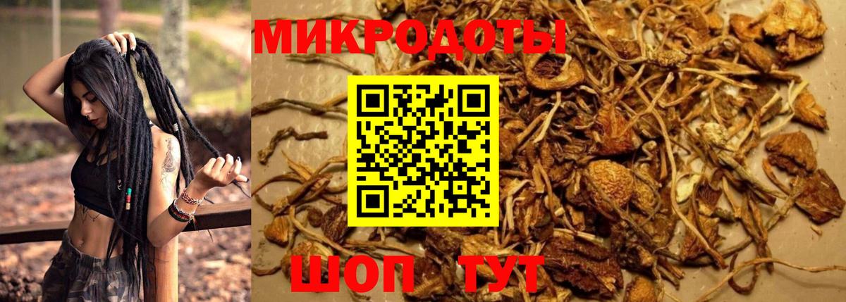 Верхний Уфалей  Галлюциногенные грибы GOLDEN TEACHER  Псилоцибиновые грибы GOLDEN TEACHER  Вход с VPN 