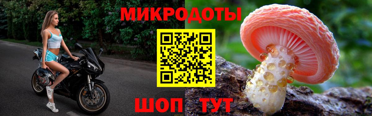 Галлюциногенные грибы Psilocybine cubensis Верхний Уфалей